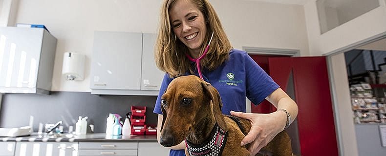 ffcb3ffb5ca5fe202b355a150e2a0cb8