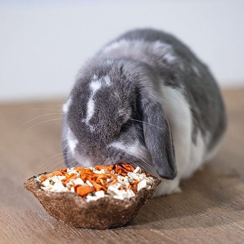 Beeztees Snack Wortel Pastinaak Konijn Knaagdier 115 gram