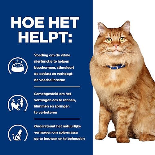 Hill's Prescription Diet KD + Mobility Kattenvoer