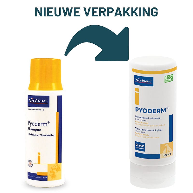 Pyoderm shampoo 250 ml