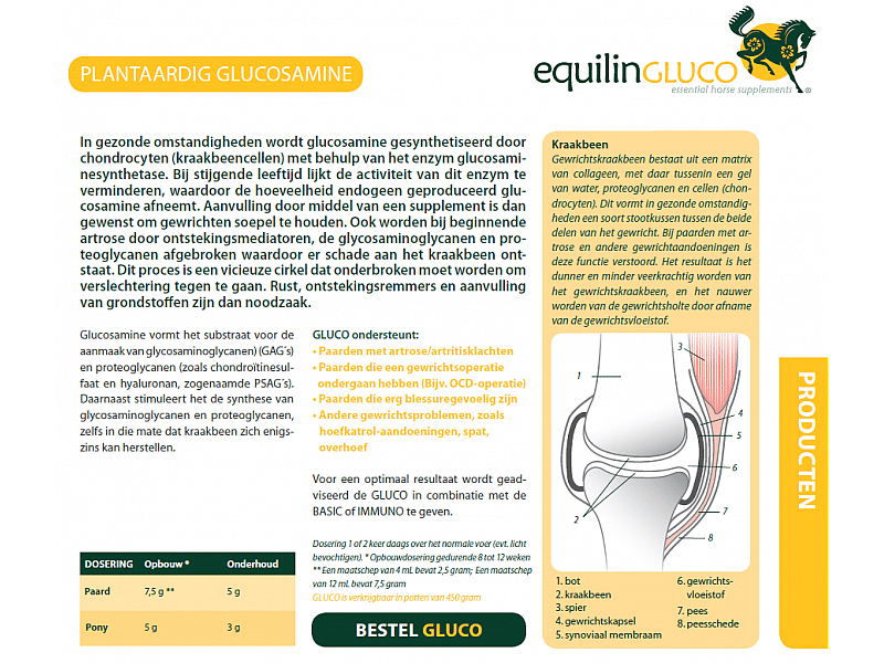 Equilin Gluco Paard 450 gram