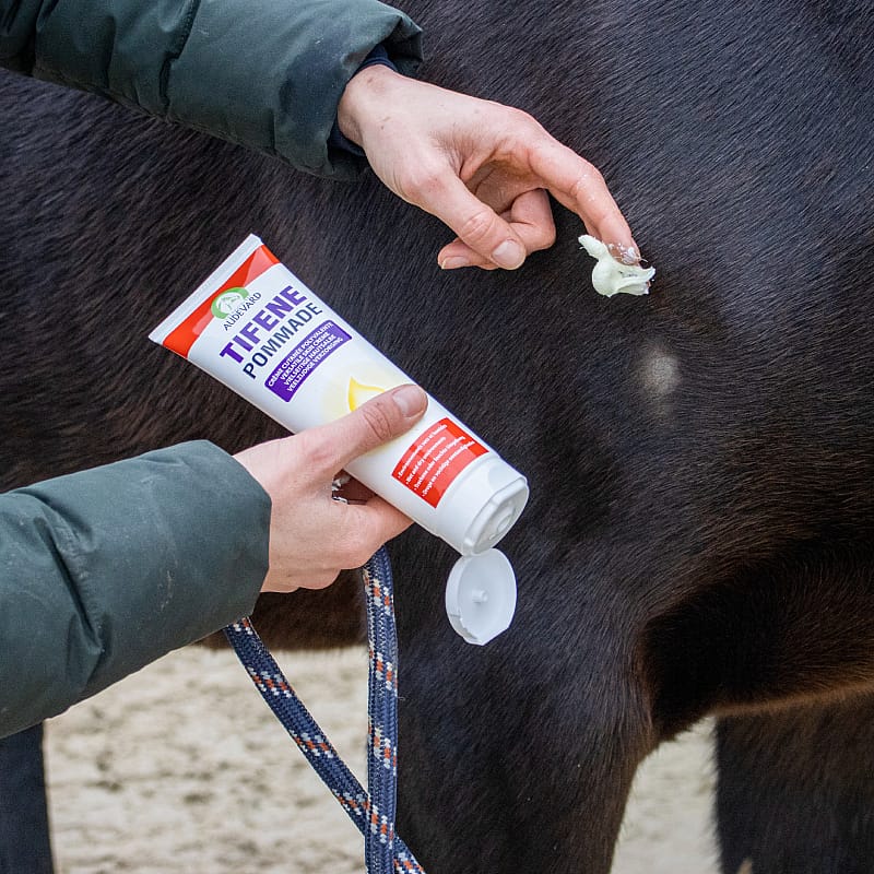 Audevard Tifene Pommade Huid Paard 250 ml