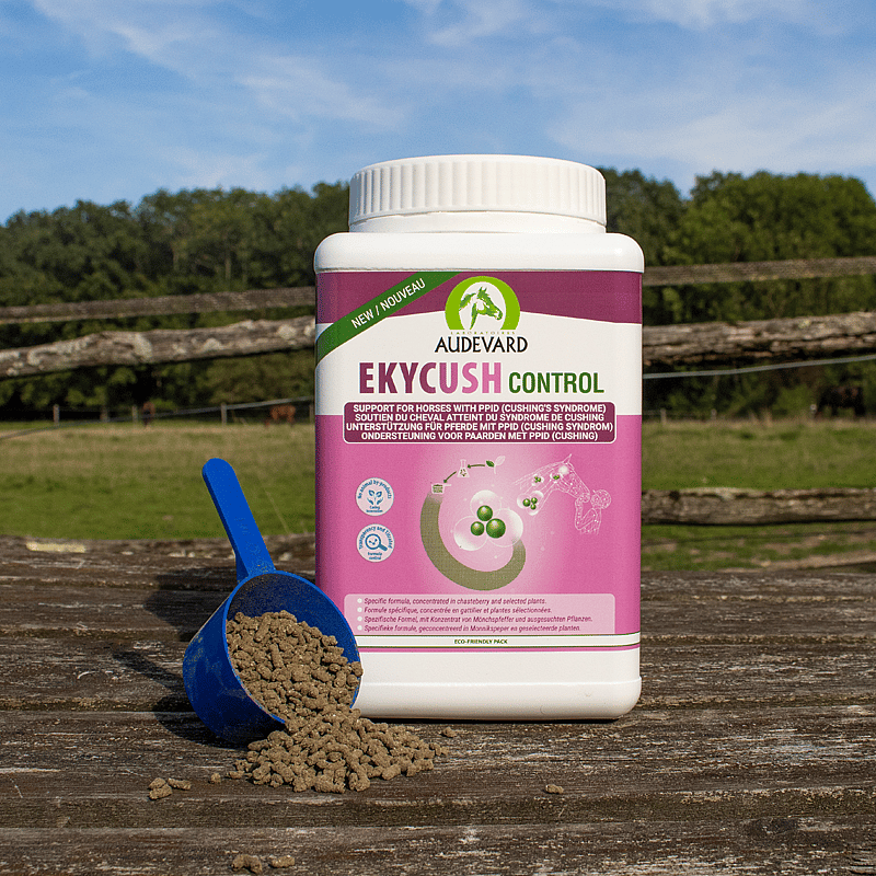 Audevard Ekycush Control Cushing Paard