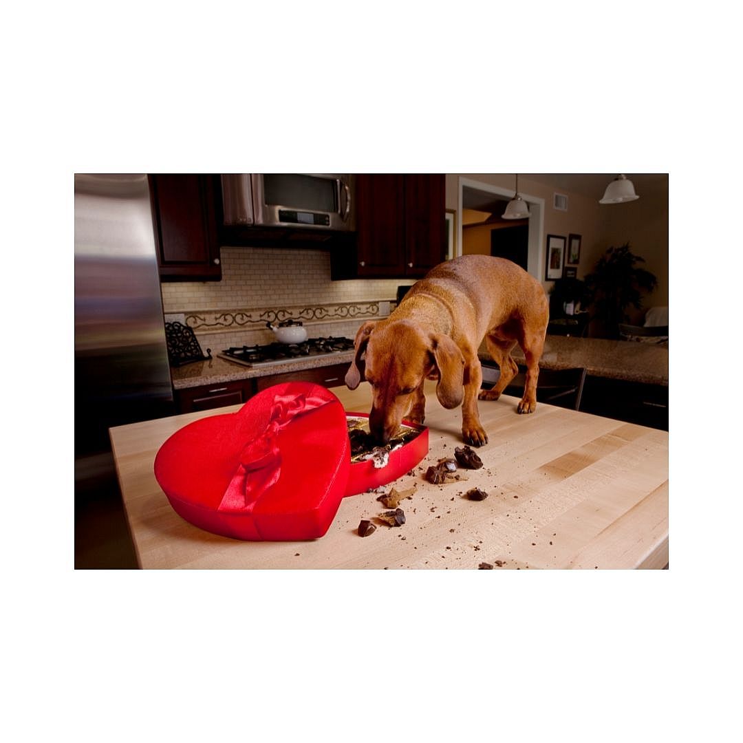 438ffd2c594b55d0700fc2b83aac9f8f