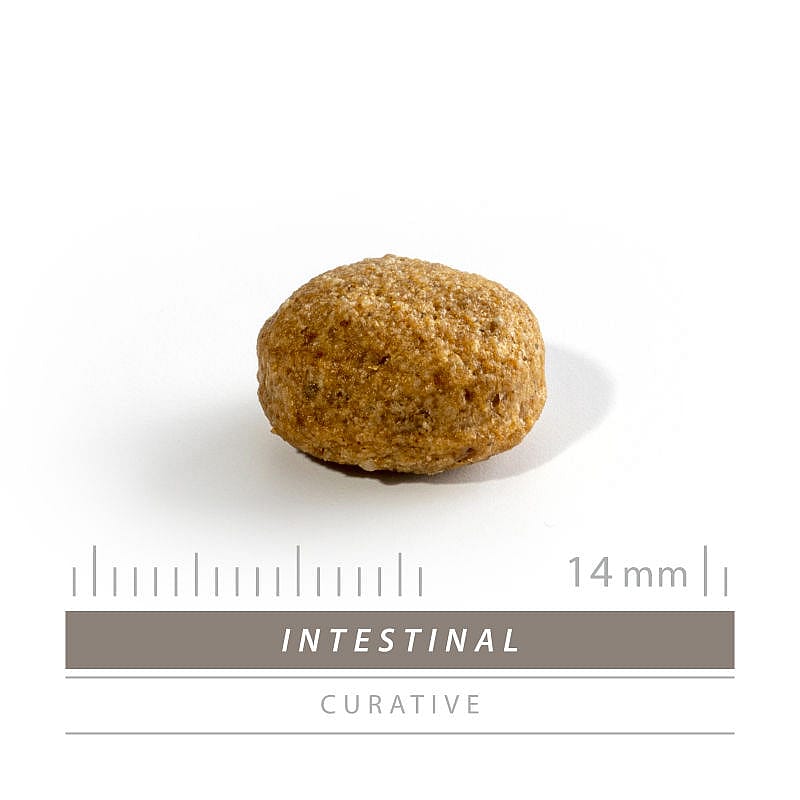 Sanimed Intestinal Hond Dieetvoer: Spijsvertering - Diarree - 100% natuurlijk