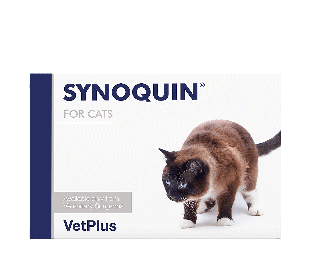 Vetplus Synoquin EFA Gewrichten Kat 90 capsules