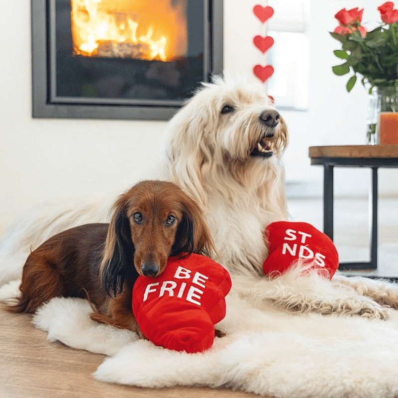 Beeztees Pluche Hart Best Friends Hond