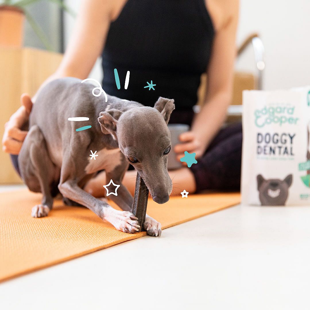 Edgard & Cooper Doggy Dental Sticks Hondensnack - Muntolie en Aardbei Small