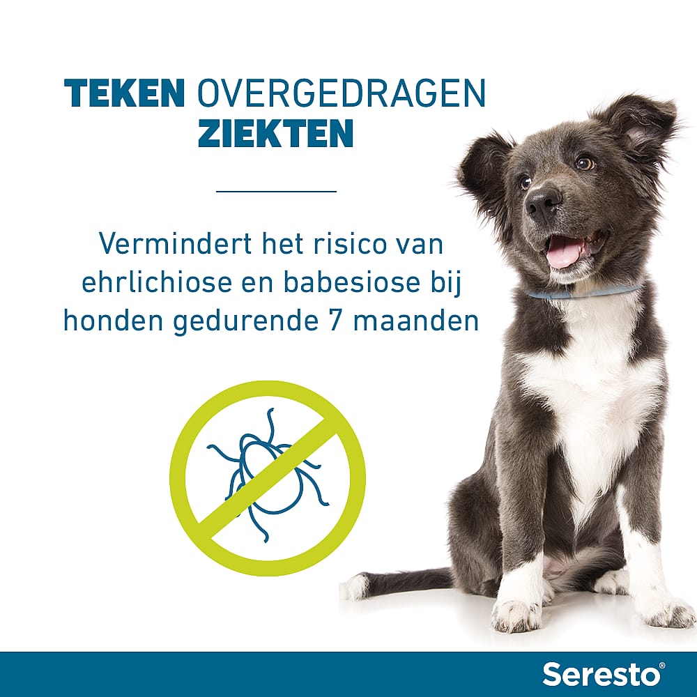 Seresto Halsband Hond: Vlooien en Teken Bescherming - 7 tot 8 maanden - Geurloos & Waterbestendig