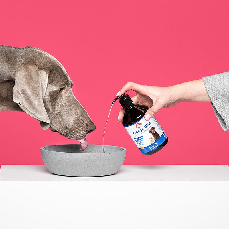 Sectolin Omega Olie 500 ml Hond Kat