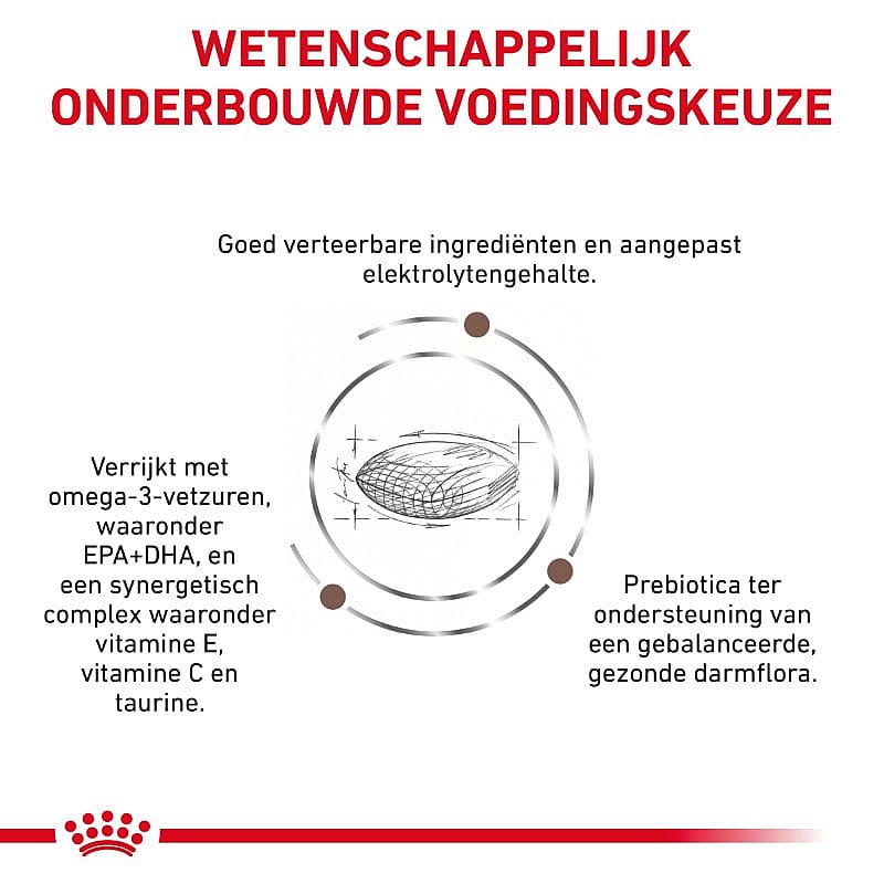 Royal Canin Gastrointestinal Hairball Kat 4 kg