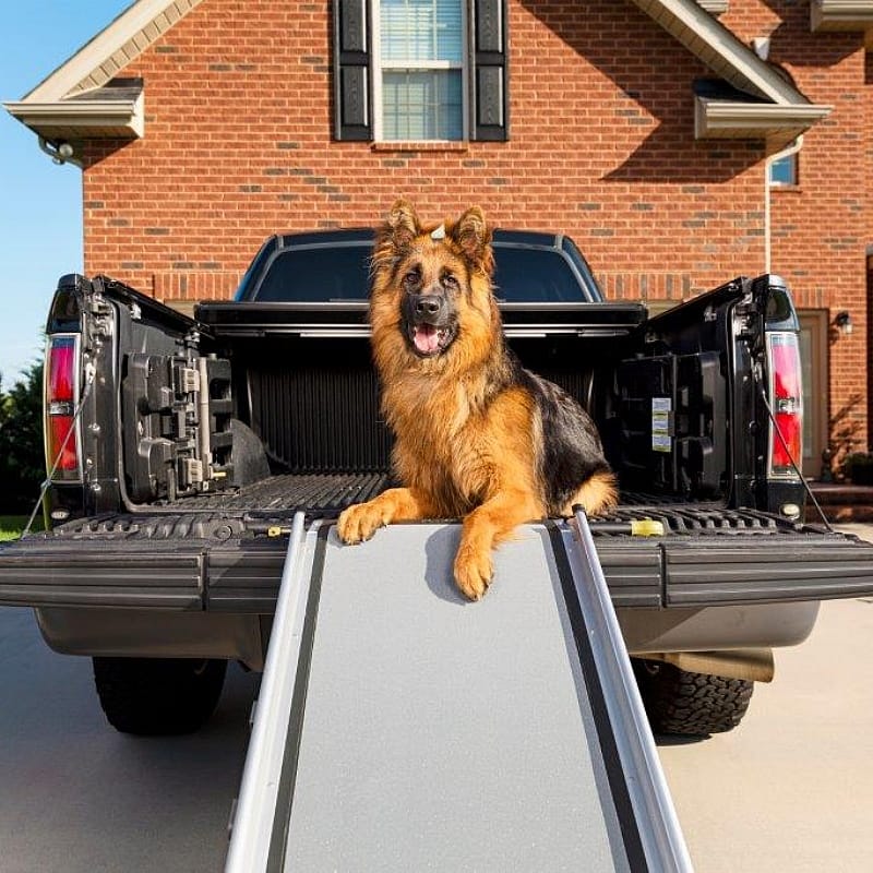 PetSafe Happy Ride Telescoping Dog Ramp Luxe loopplank voor honden Dog Ramp XL 120 - 220 cm