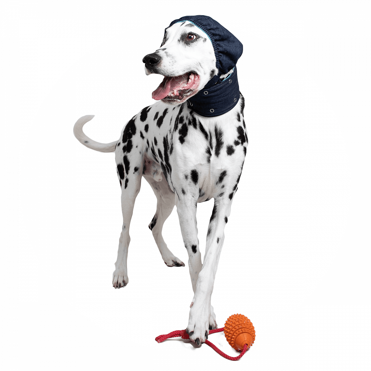 MPS-Head Cover Hond Maat Small