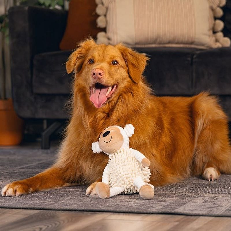 hond, hondenspeelgoed, knuffel, pluche, rood/bruine hond