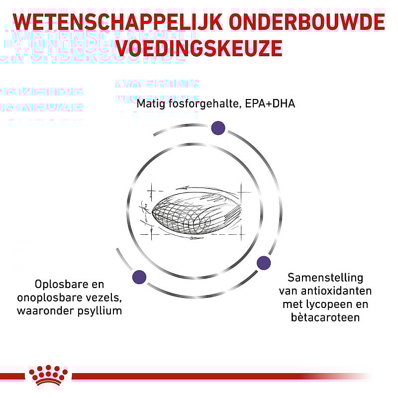 Royal Canin Mature Consult Balance Kat 12 x 85 gram