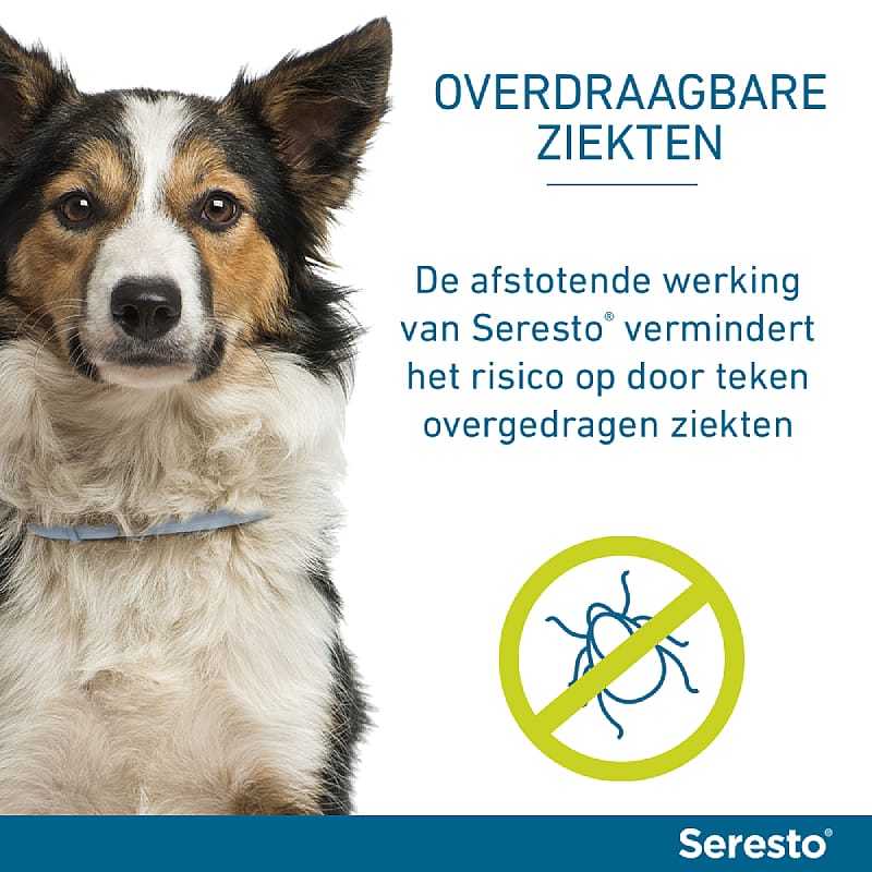 AE - Seresto Halsband Vlooien en Teken Hond lichter dan 8 kg - 1 x 38 cm (1-pack)