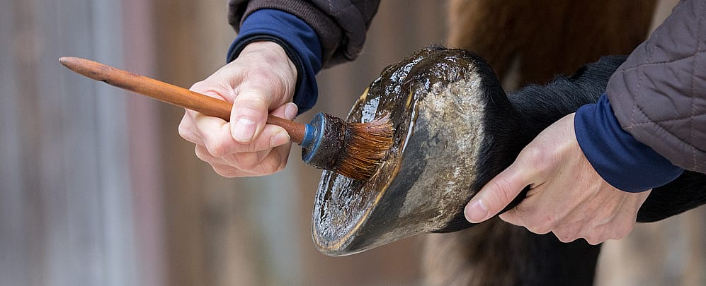 8cc5c60f8372446423b534bf0543b3b5