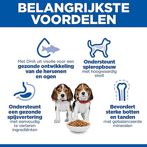 hondenvoedsel, brokjes, staalneutraal, voedingssupplement, dierendroogvoer