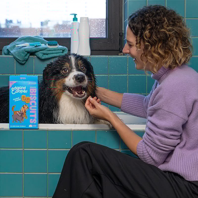 Edgard & Cooper Bravo Biscuits Zalm & Kip 400 gram