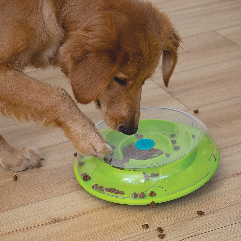 Nina Ottosson Wobble Bowl Hond