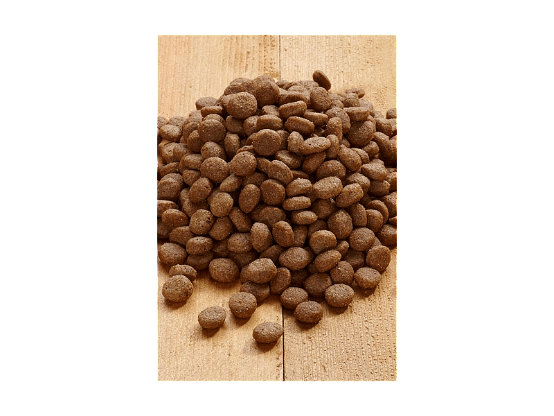 Vet-Concept Canard Pack Hondenvoer