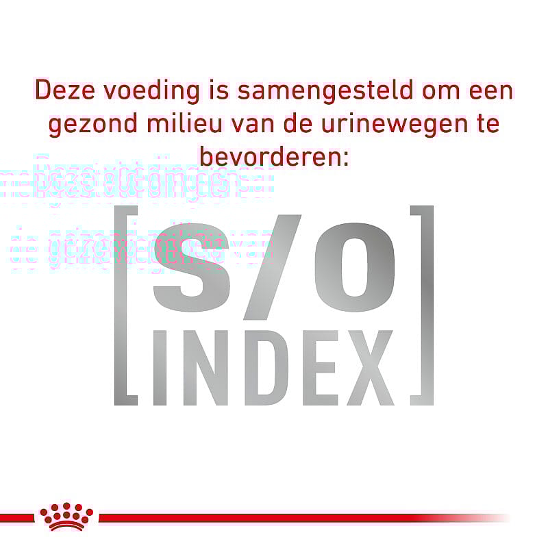 Royal Canin Mature Consult Small Dog