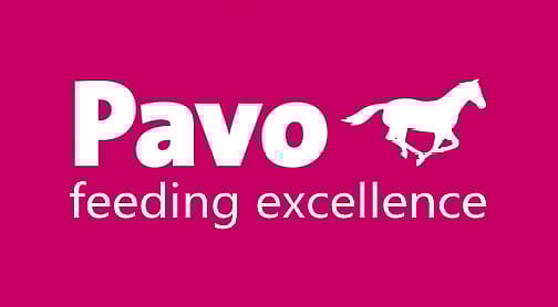 Pavo