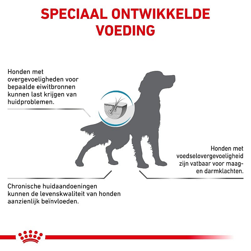Royal Canin Anallergenic Hond 3 kg