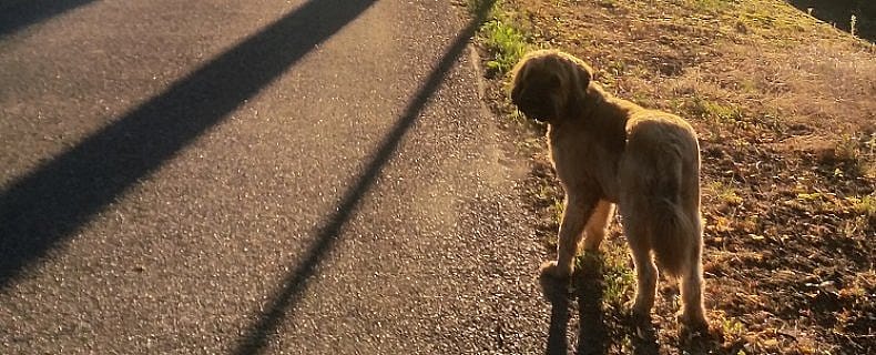 cd4fbb22f012f3ba176b37113ceae9ac