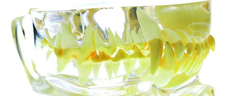 c166a0322d5fb244bbd83bed685a02c1