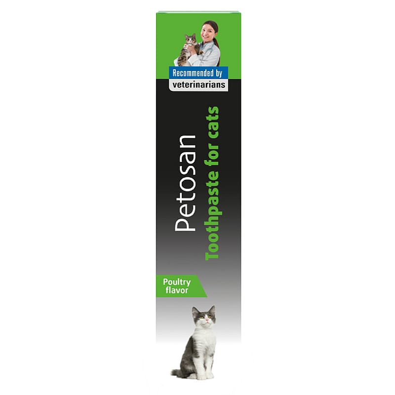 Volwassene, Vrouwelijk, Persoon, Vrouw, Kat