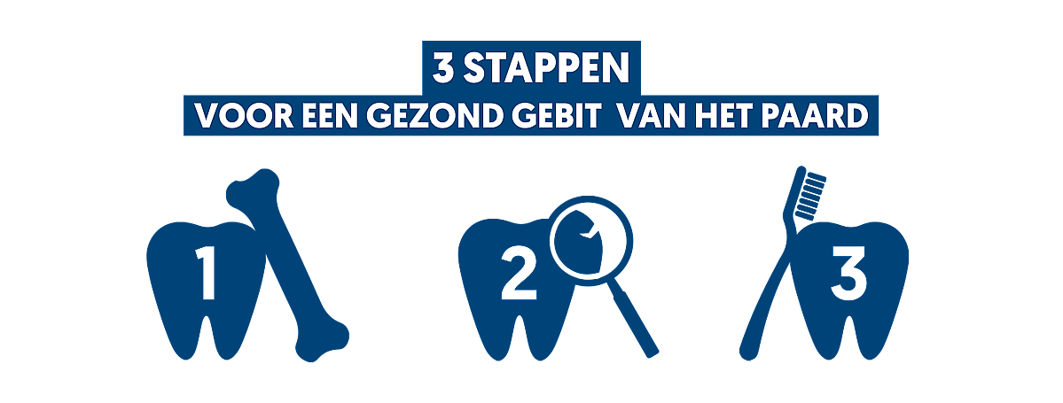 Equi Dental Care Paard 1 kg