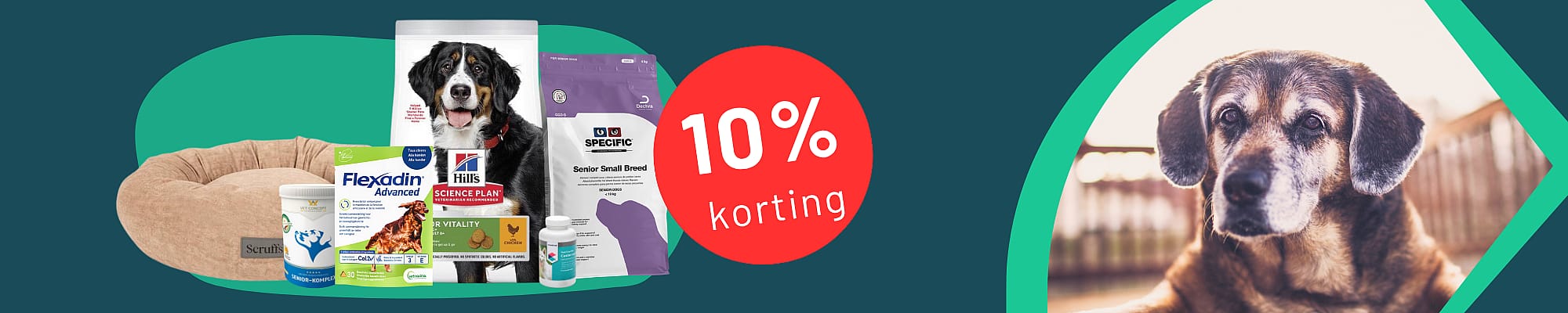 Advertentie, Poster, Hond, Huisdier, Advertentie, Poster, Hond, Huisdier