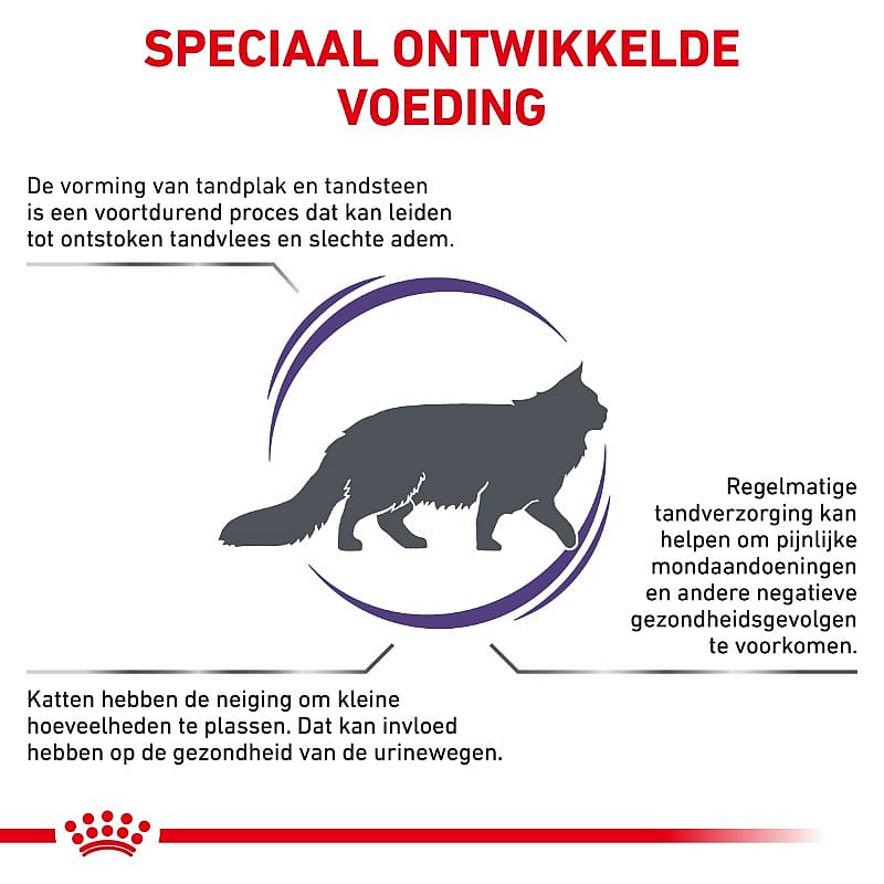 Royal Canin Dental Kat