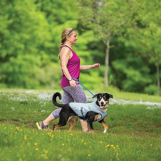 Dog_Cooling_Coat_Dog_Cooling_Vest_Lifestyle__96069-1485545286 Kurgo Dog Core Cooling Vest Icy Blue Hondenkoelvest
