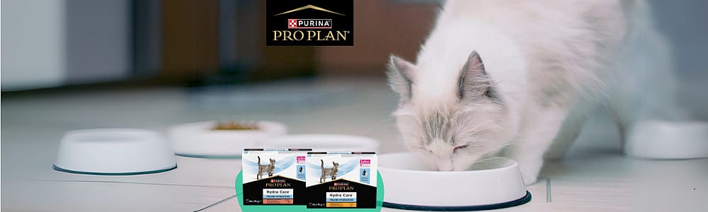 huisdiervoeding, kat, voerbak, brokjes, hydration care