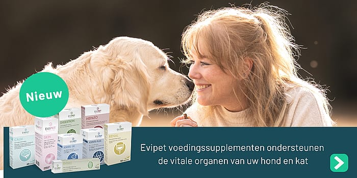 Evipet Joints Gewrichten