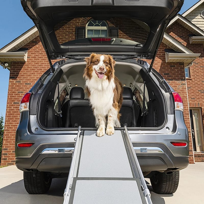 PetSafe Happy Ride Telescoping Dog Ramp Luxe loopplank voor honden