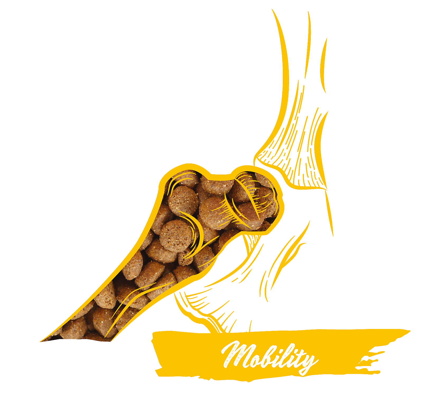 Calibra Dog Expert Nutrition Mobility Chicken & Rice