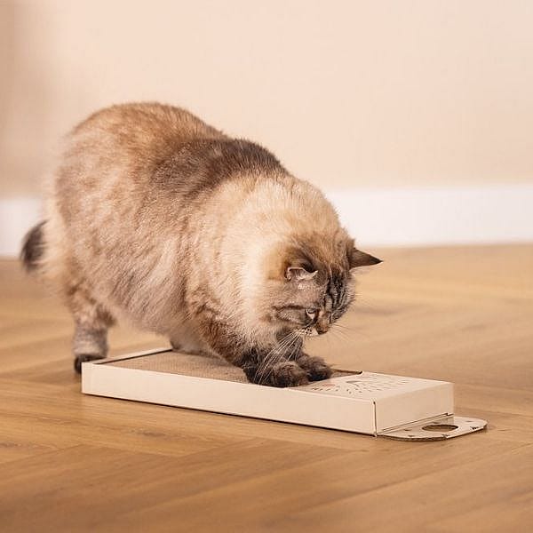 Beeztees Kartonnen Krabplank Egel Kat