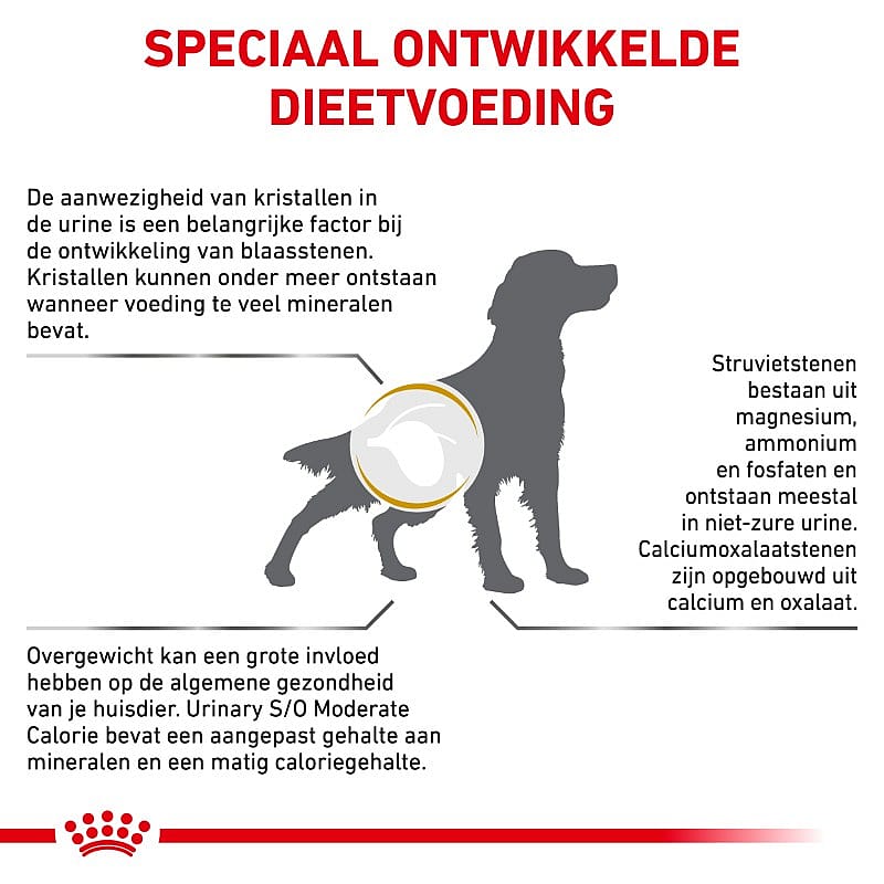 Royal Canin Urinary S/O Moderate Calorie Hond