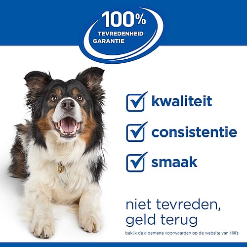 hond, serveringshond, blauw-witte achtergrond, logo, kleurig