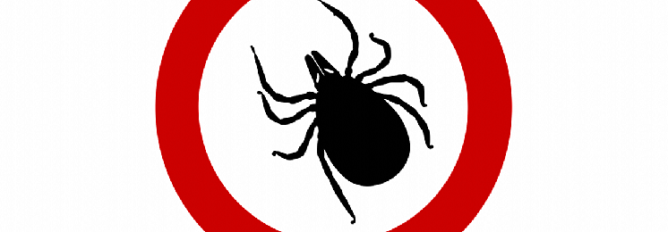 f1a946e96d8c5cdedbc93b96071ec3ca