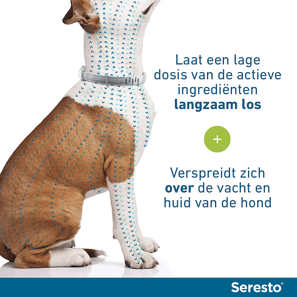 Seresto Halsband Hond: Vlooien en Teken Bescherming - 7 tot 8 maanden - Geurloos & Waterbestendig