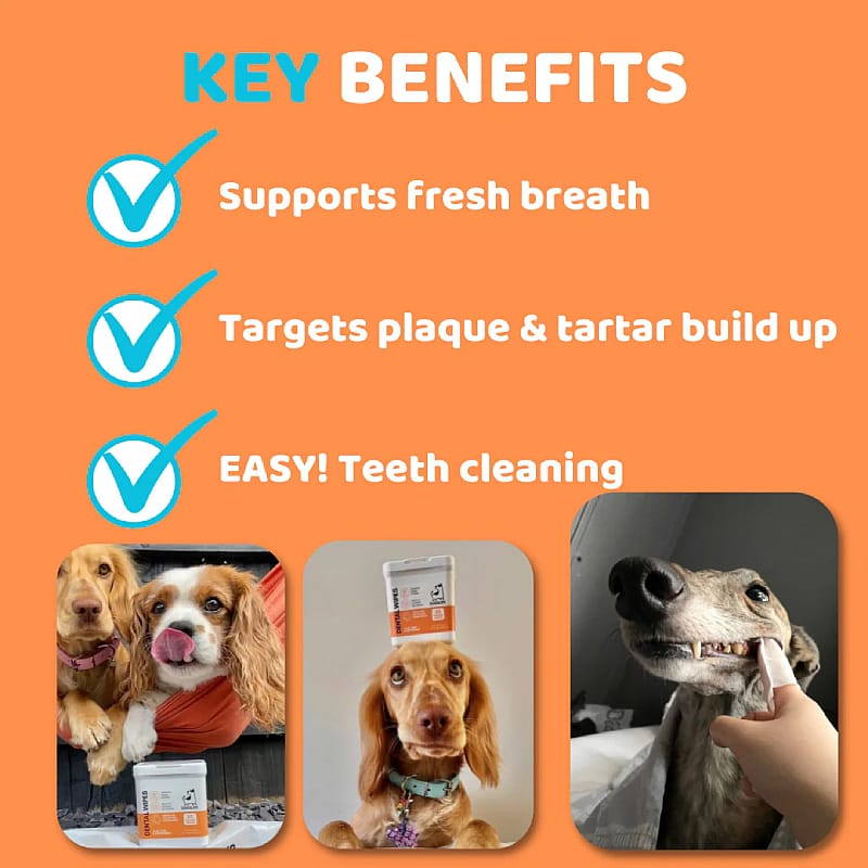 DogsLife Dental Wipes Hond 50 stuks