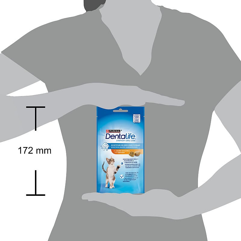Purina DentaLife Kat