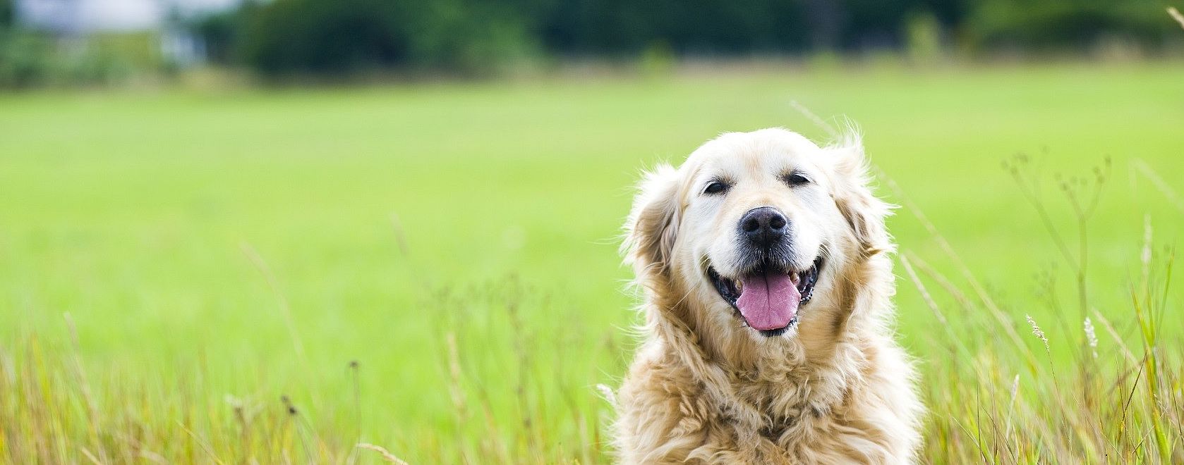 e356ae7ab3e9810465eaa2674437452f