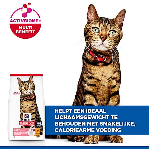kat, kattenvoer, kattenhalsband, rood, voerverpakking