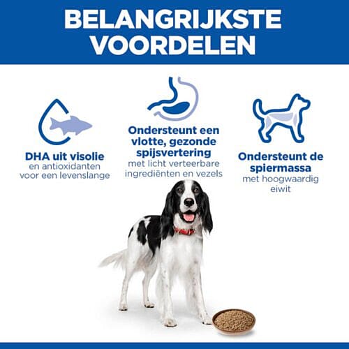 dog, dogfood, kibble, pellet, complete diet