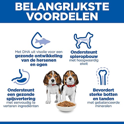 hondenvoer, voeding, bone, kibbelkruimels, dierenvoer